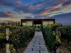 finca victoria durigutti family winemakers argentina