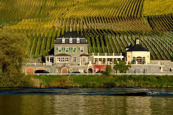 weingut dr loosen germaniia